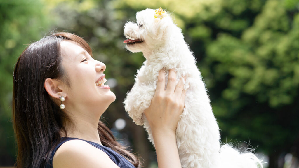 マルチーズと女性